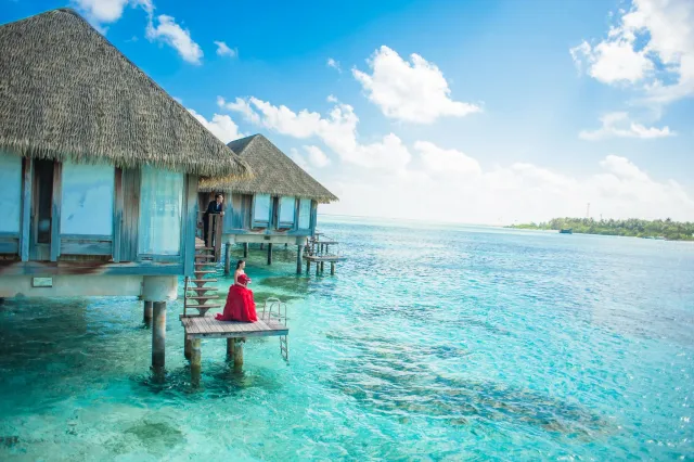 Seaside Treehouse